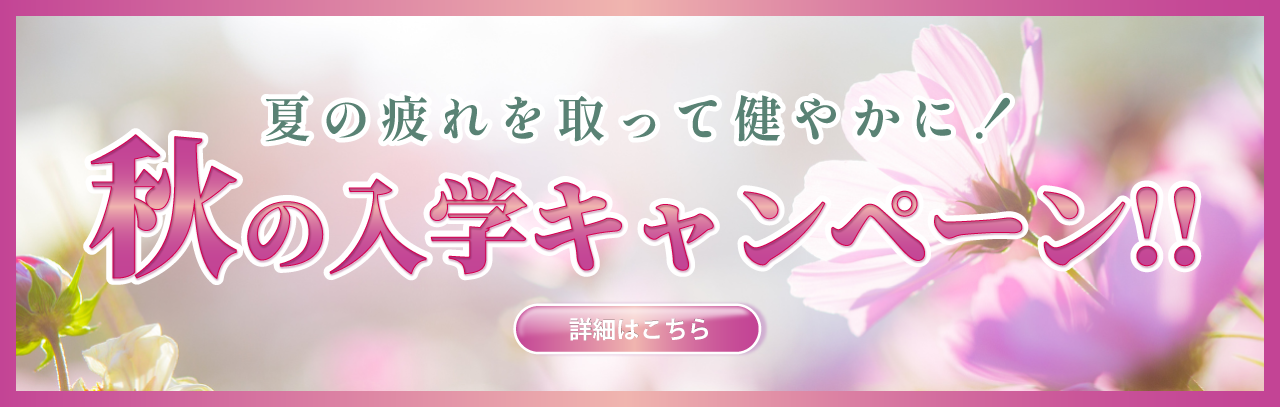 体験半額